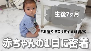 【生後7ヶ月】赤ちゃんの1日に密着/離乳食/ズリバイ/お座り/腰座り/授乳回数