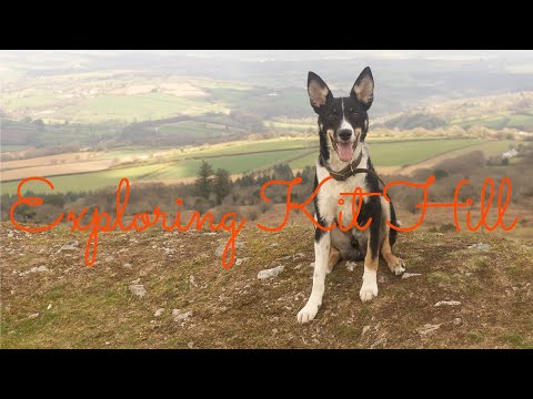 Ajax's Adventures | Exploring Kit Hill