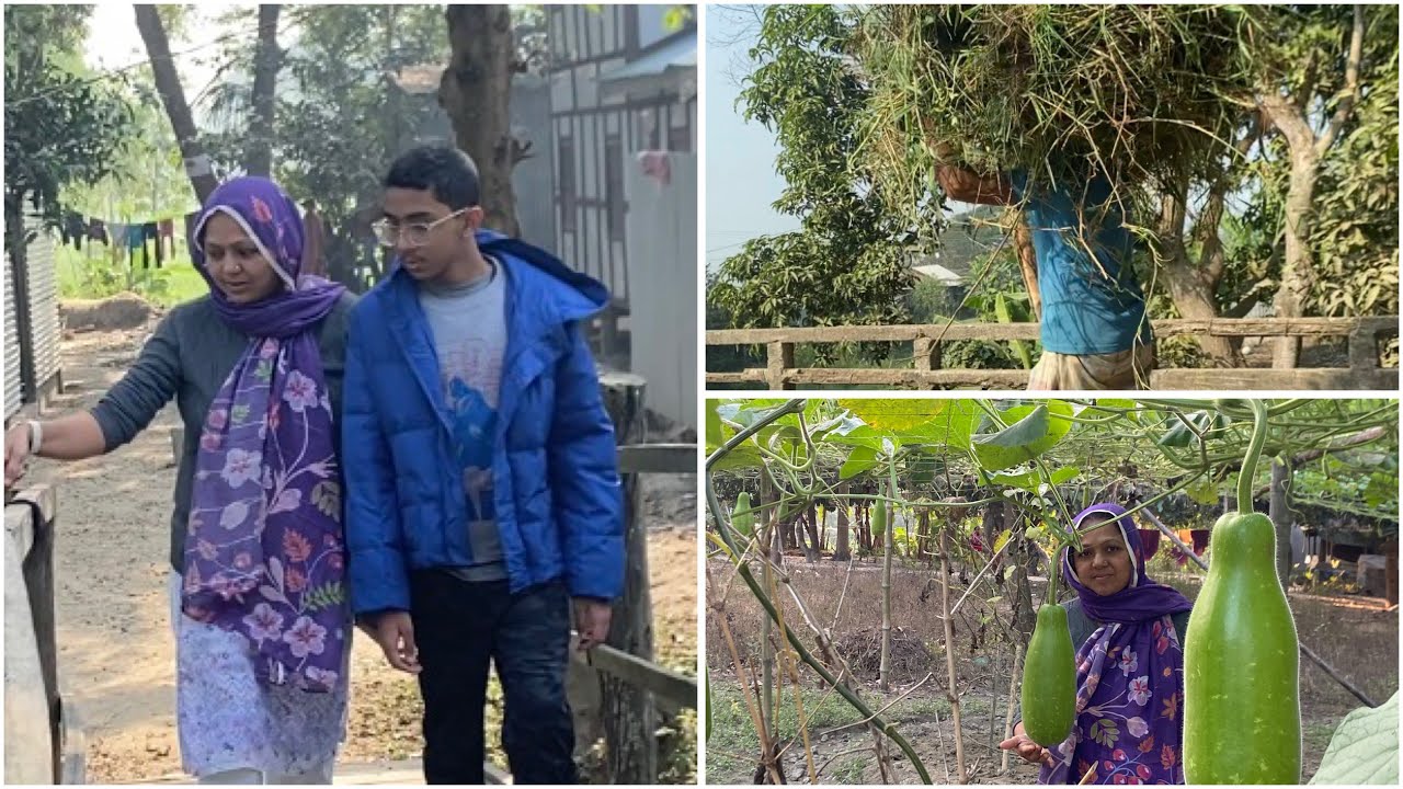 কার গাছের ফল কে খায় || BD Rimna Vlog || 