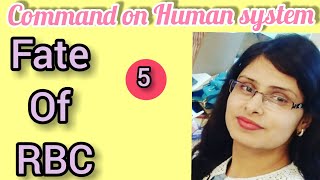 Fate of RBC /Graveyard of RBC /All information about RBC /Learn with fun biology/ Tarangini goswami