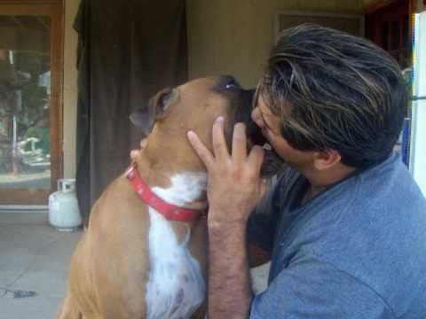 Man kisses dog