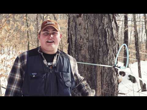 Tapping Tips & Tricks- Purinton Maple