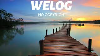 Erik Lund - Tokyo Sunset (Vlog No Copyright Music)