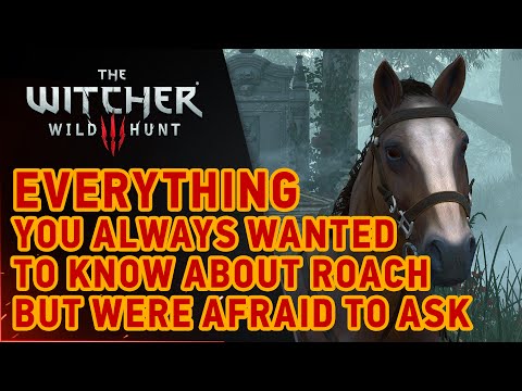 The Witcher 3: Wild Hunt - Roach