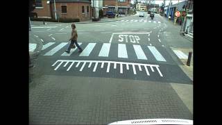 Traffic Sign Detection and Recognition