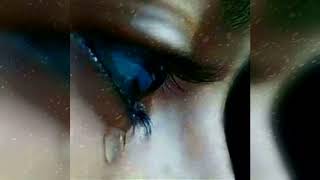 selavanuko mari edavake manasa song whatsapp status-heart attack movie