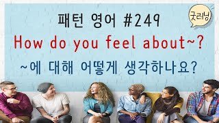 패턴영어 249편 How do you feel about~?