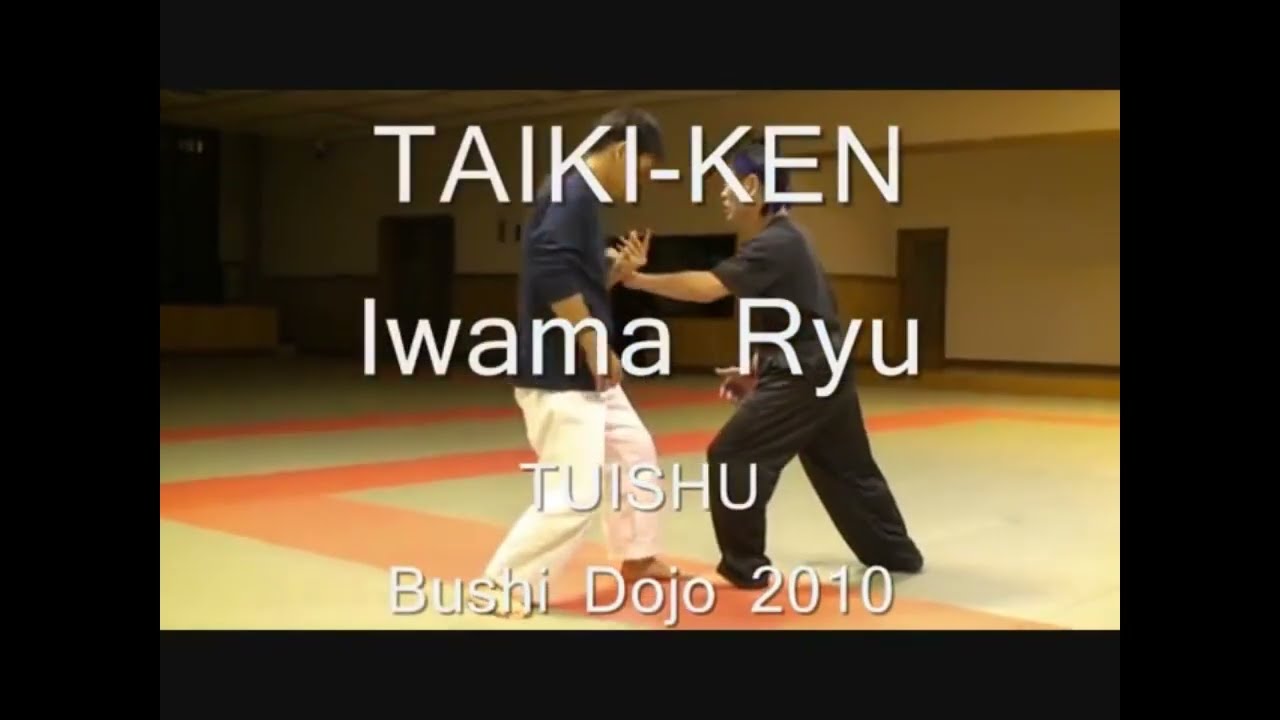 Taikiken, a dynamic internal martial art deeply rooted in the Chinese system of Yiquan Dachengquan.