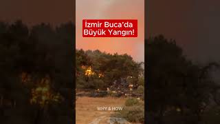 İzmir, Bucada Yine Yangın. Her Yeri Sardı