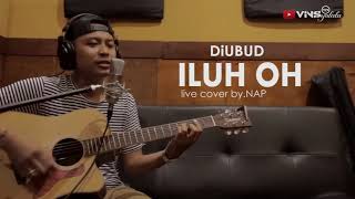 DiUBUD - ILUH OH [LIVE COVER by.NAP]