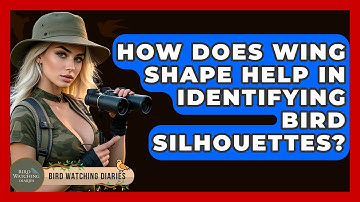 How Does Wing Shape Help In Identifying Bird Silhouettes? - Bird Watching Diaries
