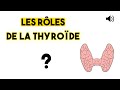 La thyrode  anatomie et physiologie