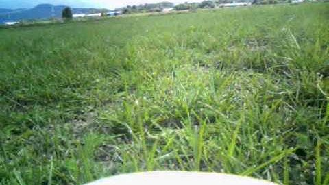 Easy Star XXL crash during start from grass runway by rcskyliner.com