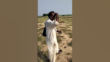 Quail Hunting 2022 Batair Ka Shikar 2022 Viralshorts Kirak 2022 