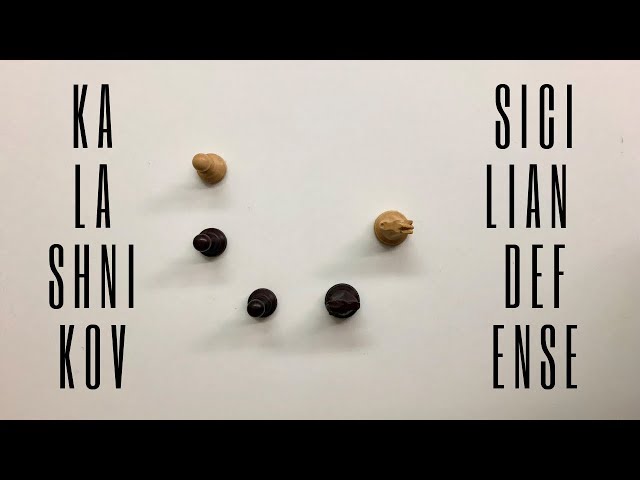 Sicilian Defense: Kalashnikov Variation with GM Misa Pap - 365Chess