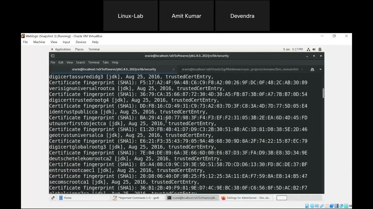 Day7 Logic Sessions SSL+Logs YouTube