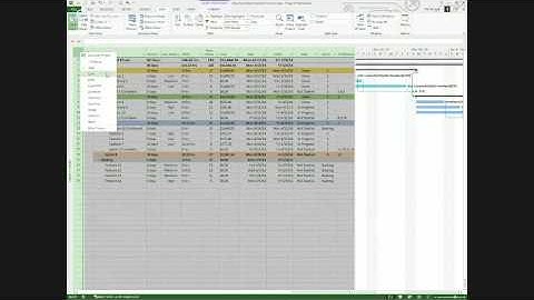 Successful use of Scrum & Agile with Project & Project Server / Project Online