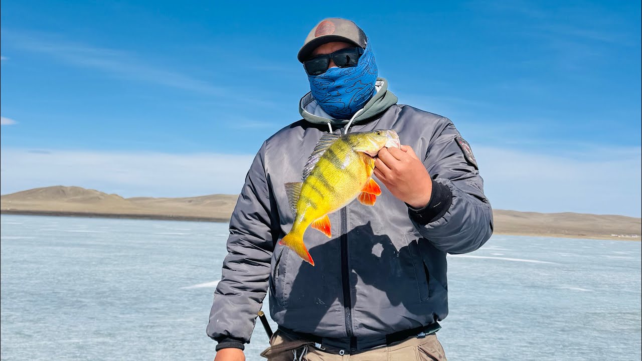 Өвлийн загасчлалын хаалт.Цурхайнд явав Өгий нуур 2025.03.31