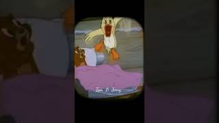 Tom and Jerry 2018 | Ma Ma | Cartoon For Kids #tomandjerry #shorts