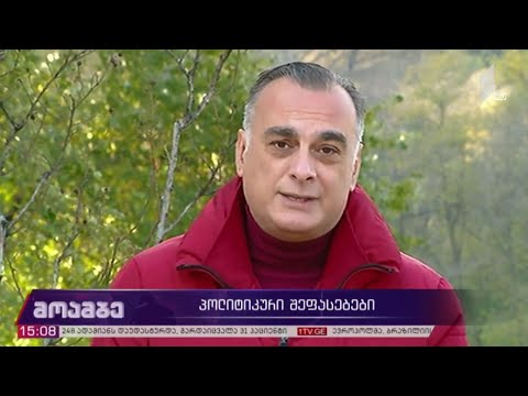 პოლიტიკური შეფასებები აბაშიძე -კარასინის ონლაინფორმატში გამართულ შეხვედრაზე