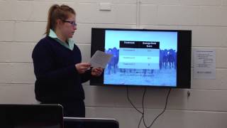 Effect of Management Strategies on Reducing Heat Stress of Feedlot Cattle