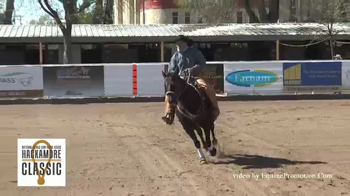 Very Icy Remedy ridden by Jamie Olson - 2014 Hacka...