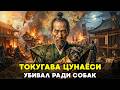 ГОСПОДИН СОБАКА: Как правитель Японии создал Оруэлловский кошмар ради бродячих псов📜История