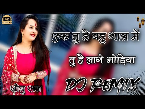 एक तु है बहु गाल में तु है लागे भोड़िया !! Bhodiya !! Dj Remix Brazil Bass Mixing Lofi Song 2026