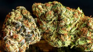 DANK WEED AND DANK DABS!