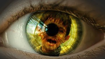 Enlightenment Is Not About Ending Suffering - Brendan Lea