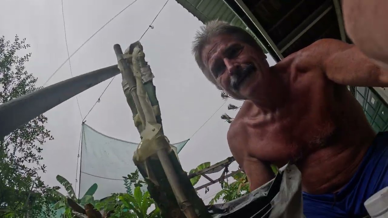 Saving a failed Dragon fruit graft for multiple propagation of numerous varieties in the tropics.