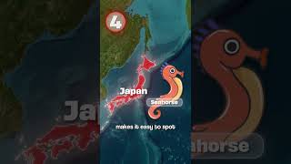 Weirdest Shaped Countries😶 Wealth