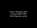 Miniature de la vidéo de la chanson Chaconne In D Minor, Bwv 1004