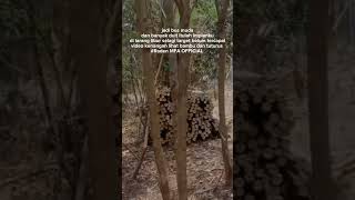 Download Lagu story wa kata kata viral terbaru untuk para bos muda gawe terus ameh menang anak bos muda dei MP3 Download Lagu story wa kata kata viral terbaru untuk para bos muda gawe terus ameh menang anak bos muda dei MP3