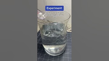 The Scientific Method for Preschoolers | STEM Activity