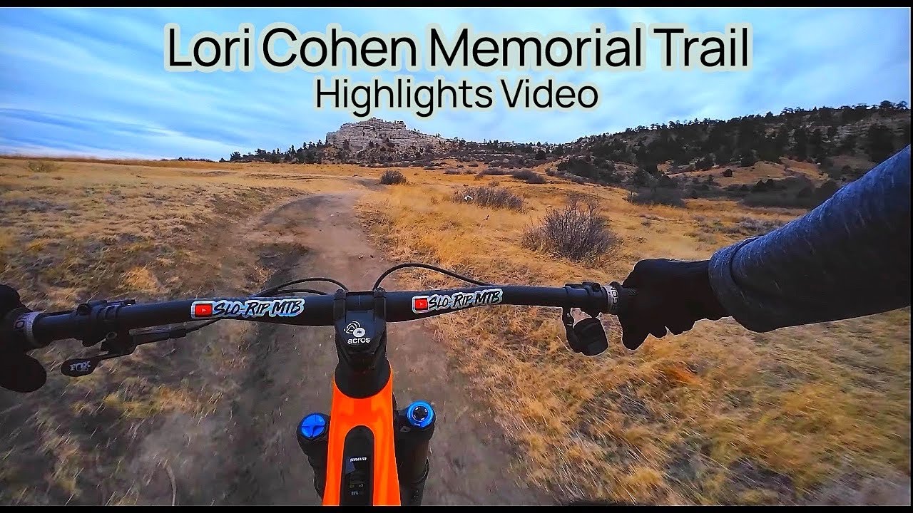 Основные моменты первой поездки Лори Коэн