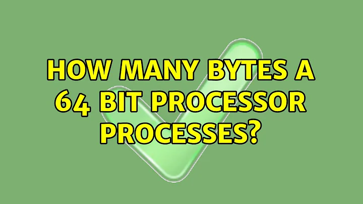 How many bytes a 64 bit processor processes? (3 Solutions!!)