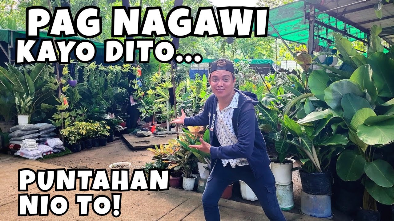 VISITING PLANT SHOPS IN QUEZON CITY MEMORIAL CIRCLE | MURA BA O MAHAL?