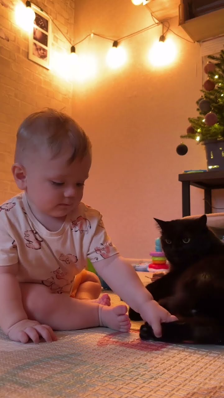 Bébé avec grand  chat noire #cat #kitten