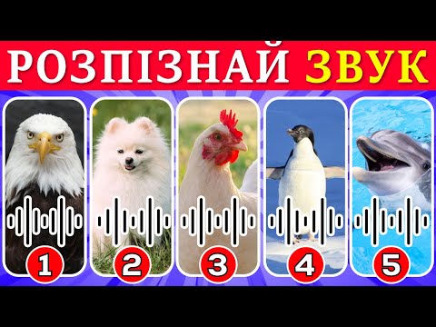 🐾 ВГАДАЙ ТВАРИНУ