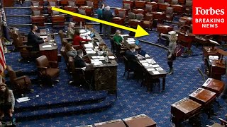 VIRAL MOMENT: Kyrsten Sinema gives THUMBS DOWN to Bernie Sanders' proposed raise in minimum wage