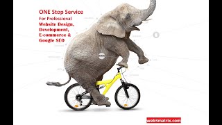 Professional Web Design, Development, Ecommerce and Google SEO  Services