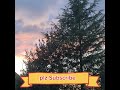 A beautiful sunset. #sunset #garden #beautiful #short