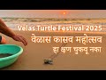 "Velas Turtle Festival 2025 🐢 | Witness Baby Turtles Take Their First Steps to the Sea!"
