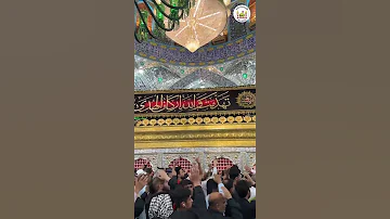 تهدمت والله اركان الهدى ضريح الامام علي 