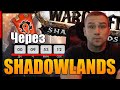 SHADOWLANDS ЧЕРЕЗ НЕСКОЛЬКО ЧАСОВ | ФИНАЛ БИТВЫ ФРАКЦИЙ | World of Warcraft ПРЕПАТЧ SHADOWLANDS