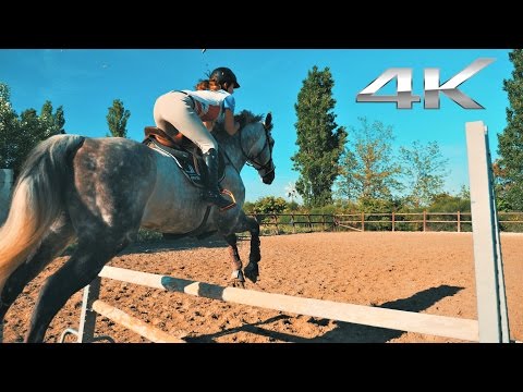 YES WE LOVE HORSE RIDING - in 4K