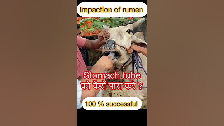 Stomach tube ko kaise pass kare? I Impaction of rumen l Bloat l Tympani l Dr Umar Khan