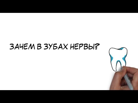 Зачем в зубах нервы? 12+