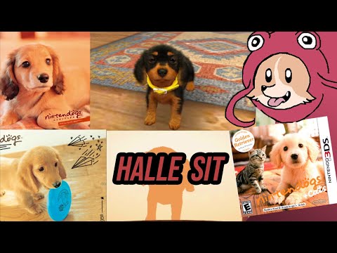 [JohneAwesome] - Nintendogs + Cats: Golden Retriever u0026 New Friends (Full Stream)